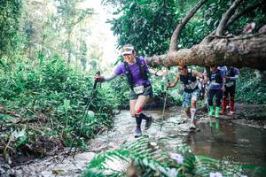 BIB: 
                            <button type="button" onclick="openModal(25452084)" class="btn btn-primary btn-sm float-right btn-popup" data-toggle="modal" data-target=".modal-high-quality">
                        <i class="fas fa-shopping-cart"></i> Add to Cart
                    </button>
                                            <button type="button" onclick="isThisMe(25452084, true)" class="btn btn-success btn-sm float-right btn-popup btn-isme hidden" data-toggle="tooltip" data-placement="bottom" title="นี่คือรูปของคุณใช่ไหม คลิกที่นี่เพื่อเอาเข้าอัลบั้ม">
                        <i class="fas fa-plus"></i> Add to album
                    </button>
                    <button type="button" onclick="isThisMe(25452084, false)" class="btn btn-warning btn-sm float-right btn-popup btn-isnotme hidden">
                        <i class="fas fa-ban"></i> Remove from album
                    </button>